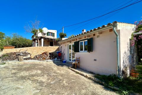 Landejendom i Alaro, Mallorca, Alaro - € 695.000 | Ref: 427919 - foto 12